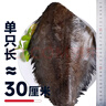 賣(mài)魚(yú)七郎 格陵蘭比目魚(yú)身段鰈魚(yú)身段2.5斤 共2只鴉片魚(yú)去頭去內(nèi)臟海鮮魚(yú)類(lèi) 曬單實(shí)拍圖