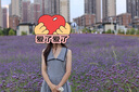 UR2025夏季新款女裝格雷系百褶翻領(lǐng)無(wú)袖連衣裙UWG750100 暖灰 S 曬單實(shí)拍圖