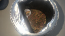 龜真壽 六合一龜糧 300g  烏龜飼料巴西龜蝦干面包蟲魚干六拼草龜海鮮糧 曬單實(shí)拍圖