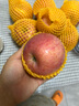 正宗煙臺(tái)蘋果棲霞紅富士脆甜新鮮水果整箱生鮮蘋果水果 凈重4.5斤75mm 曬單實(shí)拍圖