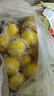 綠相憶四川安岳黃檸檬 現摘新鮮水果酸甜爽口時(shí)令生鮮泡茶切片 4.5斤裝(單果55-90g) 曬單實(shí)拍圖