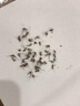 銳舞（RANVOO）【全網(wǎng)熱銷100萬(wàn)+丨母嬰頂配款】滅蚊燈家用驅(qū)蚊燈滅蚊神器滅蚊 曬單實(shí)拍圖