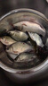 久巖 伊勢尼子線雙鉤成品有刺魚鉤套裝手工精綁防纏繞野釣湖庫大物 75cm伊勢尼有刺【鉤10+4 鉤11+5】 【20付/盒】 曬單實拍圖