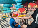 安踏小蠻腰泳衣女士連衣裙式保守修身顯瘦遮肉彈力溫泉泳衣黑色XL 曬單實(shí)拍圖