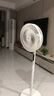 美的（Midea）【颶風節(jié)能】七葉柔風立式電風扇/家用輕音落地扇/臺式小型風扇/大風力遙控定時搖頭風扇 SAH35BSJ 曬單實拍圖