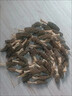 羊肚菌500克干貨野生特級胖東來品質頭干貨頭茬肉厚云南特產食用 高品質羊肚菌 【肉厚無沙】 煲湯好物凈重【5包】約45-55根 曬單實拍圖