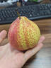 式果禮陜西彩虹梨【順豐】彩紅梨香梨早酥蜜梨大梨子七彩紅啤梨新鮮水果 9斤 精選大果【單果約150g+】 曬單實拍圖