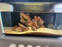 當(dāng)貝智能生態(tài)魚缸1Ultra 一體缸自循環(huán)桌面魚缸 財(cái)運(yùn)石造景套餐 曬單實(shí)拍圖
