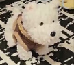 babycare西高地飛行員限定禮盒兒童動(dòng)物毛絨玩偶仿真玩具狗節(jié)日生日禮物 曬單實(shí)拍圖