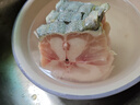 鮮七星新鮮現(xiàn)殺帶皮鱷魚人工養(yǎng)殖食用鱷魚腿生鮮鱷魚肉 新鮮鱷魚尾巴肉2斤裝 曬單實(shí)拍圖