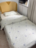 雅鹿學(xué)生宿舍雙層紗床笠2025新款寢室單人床墊保護罩床罩床墊套三件套 波點(diǎn)小熊【超柔雙層紗 】 90*200cm【單床笠】 曬單實(shí)拍圖
