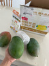 京鮮生 攀枝花凱特芒果 凈重4.5斤 單果600g 水果 源頭直發(fā)【搜生鮮館】 曬單實(shí)拍圖
