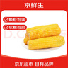 京鮮生 東北黃糯玉米250g*10棒 新鮮甜糯玉米棒真空包裝粘玉米 源頭直發(fā) 曬單實拍圖