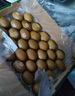 佳沛（zespri）新西蘭 新果季 陽光金奇異果33粒原箱單果重約101-114g 獼猴桃 曬單實拍圖