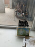 飛鴿 FG FLYING PIGEON自行車成人男女式全軸承24/26寸雙碟剎輕便男女士大學(xué)生代步單車 碟剎 黑色【單速】充氣胎+全軸承 26英寸建議身高165-180 曬單實(shí)拍圖