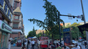必邁2025夏季遠(yuǎn)征者6.0夏季網(wǎng)紗版透氣運(yùn)動(dòng)鞋緩震護(hù)膝男女款跑步鞋 金蟬黑 40 男 曬單實(shí)拍圖