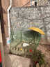 荷蘭網(wǎng)鐵絲網(wǎng)圍欄防護(hù)網(wǎng)養(yǎng)殖網(wǎng)牛欄網(wǎng)隔離網(wǎng)養(yǎng)雞鴨鵝鐵網(wǎng)包塑柵欄 3.0毫米粗*1.5米高*30米長(zhǎng) 網(wǎng)孔（6*6厘米） 曬單實(shí)拍圖