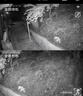 湘哲太陽能照明燈戶外庭院燈家用太陽能燈路燈防水投光燈 1000W+5米線 曬單實拍圖
