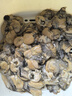 新鮮生蠔肉鮮活現剝去殼海鮮原漿海蠣子牡蠣肉冷凍刺身不帶殼燒烤 生蠔肉 500g*2包 曬單實(shí)拍圖