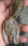 鴻順八爪魚1斤裝 去牙鮮活速凍小章魚 火鍋食材 生鮮凍品 曬單實拍圖