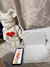 吼猴iPad mini7/6專(zhuān)用鍵盤(pán)保護殼保護套一體蘋(píng)果平板電腦藍牙鍵盤(pán)磁吸拆分智能雙面夾鍵盤(pán)保護套 iPad mini7/6專(zhuān)用【云錦白】 曬單實(shí)拍圖