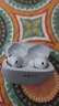 OPPO Enco Free4 【國家補(bǔ)貼】真無線入耳式藍(lán)牙耳機(jī)主動降噪搭檔 Find X8通用蘋果華為小米手機(jī)水漾藍(lán) 曬單實(shí)拍圖