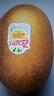 佳沛（zespri）新西蘭  陽光金奇異果10粒禮盒巨大果單果約144-175g 水果 獼猴桃 曬單實(shí)拍圖