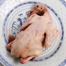 硒全食美富硒老鴿 凈重400g/只 冷凍 供港鴿子生鮮冷鏈 煲湯優(yōu)選鹵煮食材 曬單實(shí)拍圖