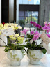 Only you【兩小時(shí)達】蝴蝶蘭帶花苞花劍花盆真花蘭花盆栽開(kāi)業(yè)喬遷佛堂供花 10株桔子（瓷盆隨機） 曬單實(shí)拍圖