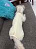 MIKI PAD狗狗衣服春夏季薄款包護(hù)肚衣絕育服術(shù)后防舔貓咪衣服透氣防掉毛 背心護(hù)肚衣-黃色#可做絕育服 XL 胸圍50背長(zhǎng)39（建議11-17斤） 曬單實(shí)拍圖