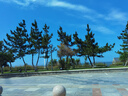 迪巧海藻鈣寶寶兒童缺鈣補鈣嬰幼兒鈣兒童高鈣0-6月-3歲液體海藻乳鈣 3盒周期裝-贈試吃不愛吃包退 曬單實拍圖