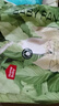 家得寶（homebaby）拉拉褲蠶絲蛋白嬰兒尿不濕花苞褲男女寶寶超薄透氣學(xué)步褲XXL64片 曬單實拍圖
