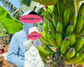 蕉下（beneunder）冰絲防曬衣男服外套男防紫外線(xiàn)涼感透氣夏戶(hù)外釣魚(yú)AL10624淺藍M 曬單實(shí)拍圖