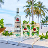 百加得(Bacardi) 洋酒 白朗姆酒 莫吉托 基酒調(diào)酒 500ml 調(diào)酒必備 曬單實拍圖