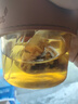 茯苓薏祛濕茶荷葉陳皮玫瑰花祛去排非養(yǎng)生茶包濕體氣內(nèi)濕寒花茶 【1袋】31包體驗(yàn)裝 曬單實(shí)拍圖