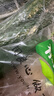 有機(jī)匯有機(jī)黃瓜 時(shí)令生鮮大黃瓜味濃清脆 有機(jī)蔬菜零農(nóng)殘 新鮮采摘 500g 曬單實(shí)拍圖