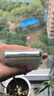 HUAWEI 華為nova系列  二手手機 二手華為手機 顏色內存參考質(zhì)檢報告 華為 nova Flip 曬單實(shí)拍圖
