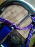 摩托車(chē)?yán)墡щ妱?dòng)自行車(chē)松緊彈力繩牛筋橡皮筋行李掛鉤綁繩子扎帶 捆綁帶1根1.5m長(zhǎng)*12mm寬 曬單實(shí)拍圖