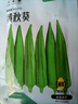 菜禾地 黃秋葵種子苗羊角豆秋季不易老家庭種植蔬菜種籽 黃秋葵種子30粒 曬單實(shí)拍圖