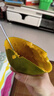 京地達海南金煌芒果 9斤珍稀果王600g+ 甜心芒青皮新鮮水果源頭直發(fā)包郵 曬單實拍圖