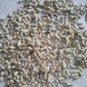 新鮮帶殼花生濕花生現(xiàn)挖現(xiàn)發(fā)應季花生水煮鮮花生 新鮮花生5斤裝 曬單實拍圖