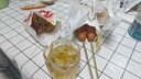 青島樂世啤酒8P原麥精釀純鮮啤酒全麥扎啤酒1.5升桶裝 1.5L 6桶 曬單實(shí)拍圖
