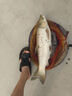 漢鼎一號(hào)6代魚(yú)竿超輕手竿6.3米臺(tái)釣竿鯽魚(yú)竿碳纖維手桿 綜合6.3米 曬單實(shí)拍圖