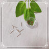 DAISY DREAM茶葉梗消炎耳棒養(yǎng)耳洞耳釘女防堵針耳棍男睡覺免摘學(xué)生隱形小耳飾 【標(biāo)準(zhǔn)款20根】體驗(yàn)裝 曬單實(shí)拍圖