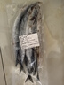 朵芙 新鮮秋刀魚 16-28條 獨(dú)立包裝刀魚秋刀魚燒烤食材冷凍海鮮水產(chǎn) 【新鮮秋刀魚4斤】500g*4袋 曬單實(shí)拍圖