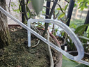 京小巴wifi自動澆花器遠程控制澆水器滴灌系統(tǒng)澆灌神器智能家用定時噴淋 WiFi雙泵20盆 曬單實拍圖