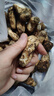 土地母親計劃 香格里拉新鮮松茸菌菇營(yíng)養菌湯煲湯未開(kāi)傘松茸 團購禮盒 5A野生未開(kāi)傘5-7cm 凈重500g 曬單實(shí)拍圖