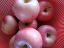 十里饞山西紅富士蘋(píng)果10斤新鮮水果應(yīng)當(dāng)季脆甜丑萍果嘎啦冰糖心整箱 5斤 90mm(含)-95mm(不含) 【特大果】 曬單實(shí)拍圖
