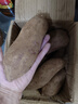 魯禧廣西新鮮紫薯 當(dāng)季精品紫薯地瓜 軟糯香甜健康輕食生鮮蔬菜 中果凈重4.5斤（單果150-400g） 曬單實(shí)拍圖