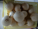 京喜加趙州水晶鴨梨新鮮水果產(chǎn)地直發(fā)【三】單果180g 帶箱9斤裝（凈重8.2斤） 曬單實(shí)拍圖